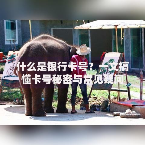 什么是银行卡号？一文搞懂卡号秘密与常见疑问
