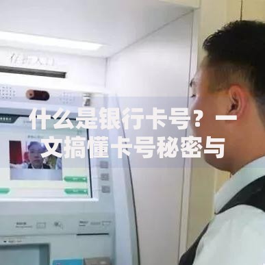什么是银行卡号？一文搞懂卡号秘密与常见疑问