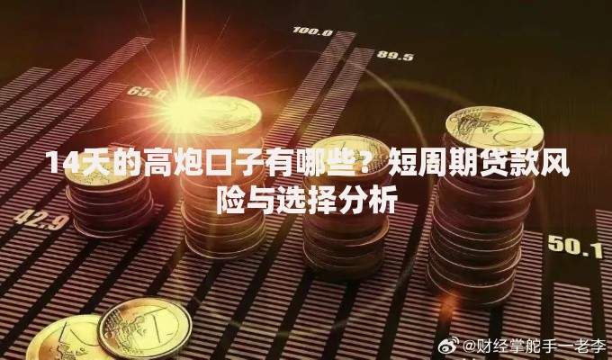 14天的高炮口子有哪些？短周期贷款风险与选择分析