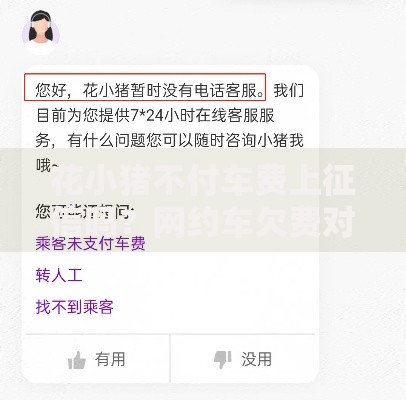 花小猪不付车费上征信吗？网约车欠费对贷款影响解析