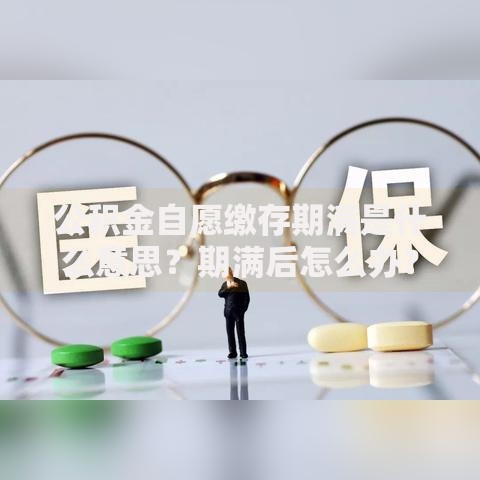 公积金自愿缴存期满是什么意思？期满后怎么办？这些要点要了解