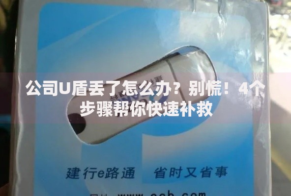 公司U盾丢了怎么办?别慌!4个步骤帮你快速补救 公司U盾丢了怎么办?别慌!4个步骤帮你快速补救