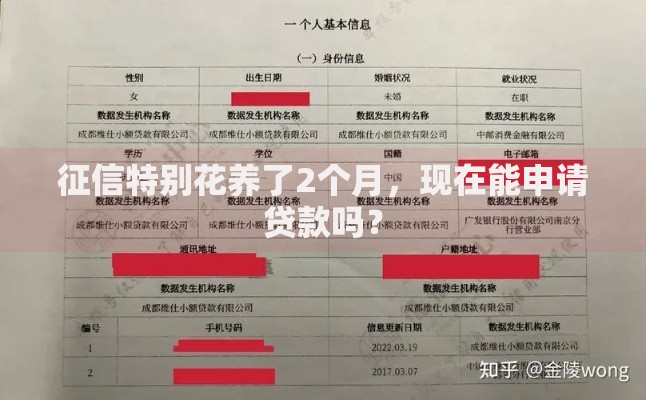 征信特别花养了2个月，现在能申请贷款吗？
