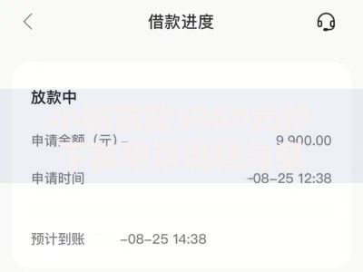 小额贷款5000元秒下款申请流程与条件解析