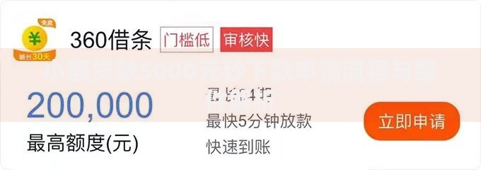 小额贷款5000元秒下款申请流程与条件解析