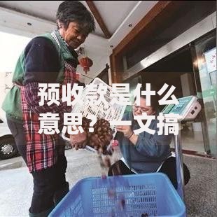 预收款是什么意思？一文搞懂商家提前收钱的背后逻辑