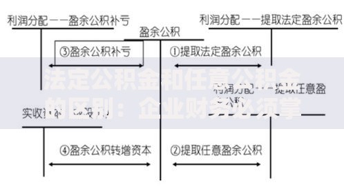 法定公积金和任意公积金的区别：企业财务必须掌握的三大核心要点
