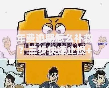 年费逾期怎么补救？三步快速止损+修复信用攻略