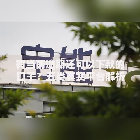 有当前逾期还可以下款的口子？五类真实平台解析