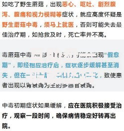 互助盘一般能坚持多久？揭秘其生命周期与风险预警