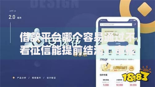 借款平台哪个容易通过不看征信能提前结清？审核宽松平台解析