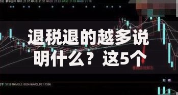 退税退的越多说明什么？这5个信号暗示你的收入有问题！