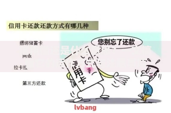 信用借还是什么意思？一文搞懂它的运作方式与注意事项