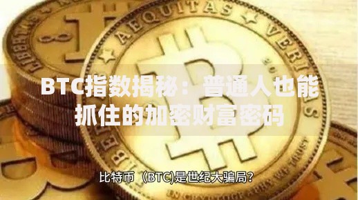 BTC指数揭秘：普通人也能抓住的加密财富密码