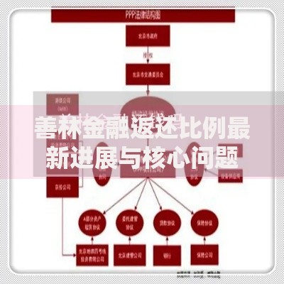善林金融返还比例最新进展与核心问题解析