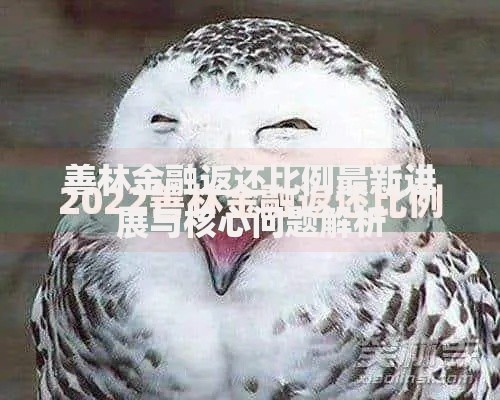 善林金融返还比例最新进展与核心问题解析
