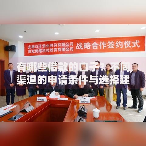 有哪些借款的口子？不同渠道的申请条件与选择建议