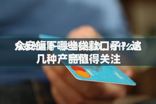 众安旗下哪些贷款口子？这几种产品值得关注