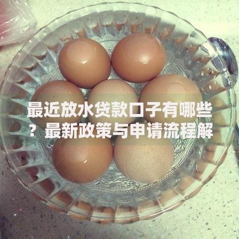 最近放水贷款口子有哪些？最新政策与申请流程解析