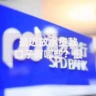 最近放水贷款口子有哪些？最新政策与申请流程解析