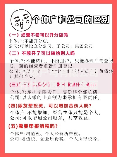 个体户与有限公司有什么区别？全面解析经营模式选择