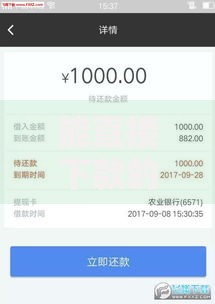 能直接下款的口子有吗？真实渠道深度解析