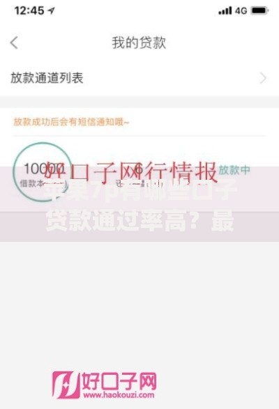 苹果7p有哪些口子贷款通过率高？最新平台评测与申请攻略
