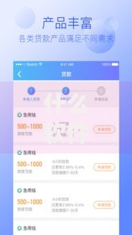 什么软件借钱最快通过利息低不看征信？低息秒批平台解析