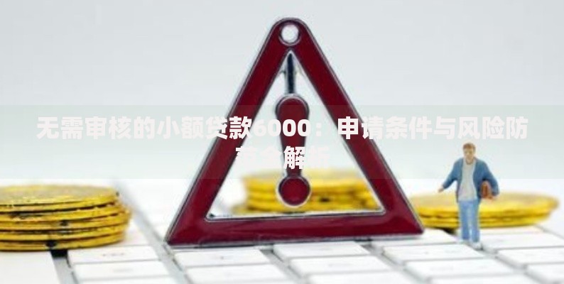 无需审核的小额贷款6000：申请条件与风险防范全解析