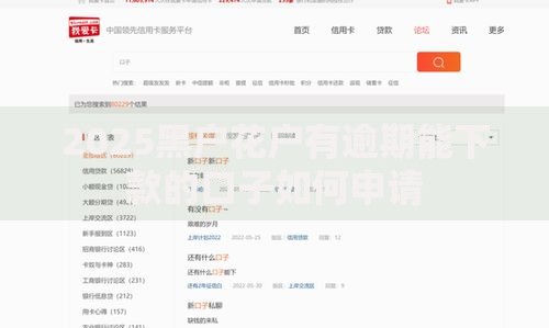2025黑户花户有逾期能下款的口子如何申请