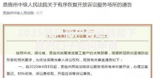 2025黑户花户有逾期能下款的口子如何申请