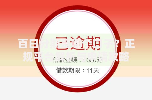 百日分期是哪个口子？正规平台解析与申请攻略