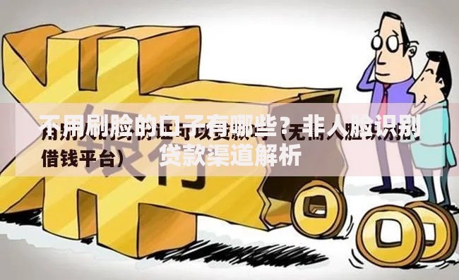 不用刷脸的口子有哪些？非人脸识别贷款渠道解析