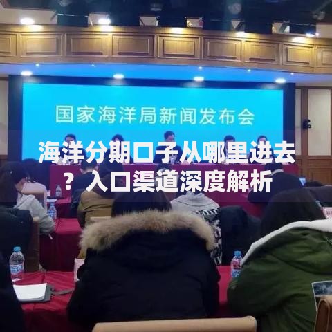 海洋分期口子从哪里进去？入口渠道深度解析