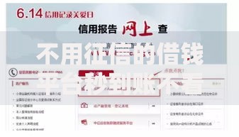 不用征信的借钱平台秒到账不看征信？真实解析与避坑指南