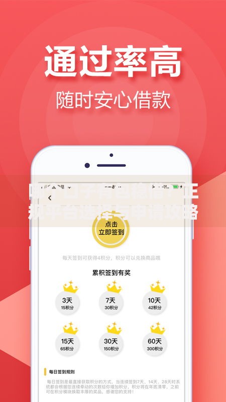 哪个口子有包稳借？正规平台选择与申请攻略