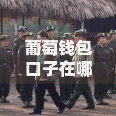 葡萄钱包口子在哪里？如何申请贷款渠道解析
