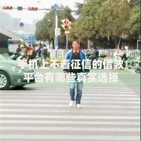 手机上不看征信的借款平台有哪些真实选择
