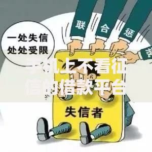 手机上不看征信的借款平台有哪些真实选择