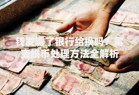 钱发霉了银行给换吗？霉变纸币处理方法全解析