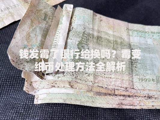 钱发霉了银行给换吗？霉变纸币处理方法全解析