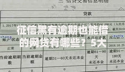 征信黑有逾期也能借的网贷有哪些？5大可靠平台实测推荐