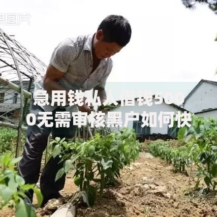 急用钱私人借钱5000无需审核黑户如何快速到账？