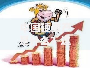 中国硬资产是什么？这些看得见摸得着的财富你了解多少