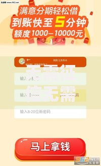 无需征信无需审核的贷款：快速放款方案全解析