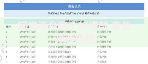 网贷平台哪个好借款 专业筛选指南