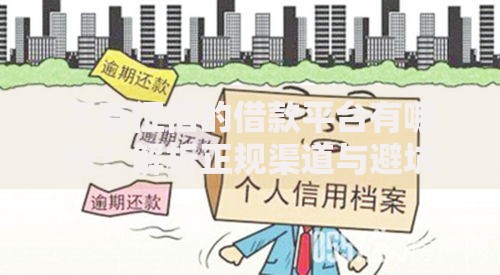 不查征信的借款平台有哪些？解析正规渠道与避坑指南