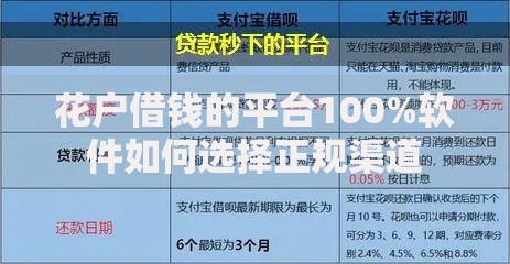 花户借钱的平台100%软件如何选择正规渠道