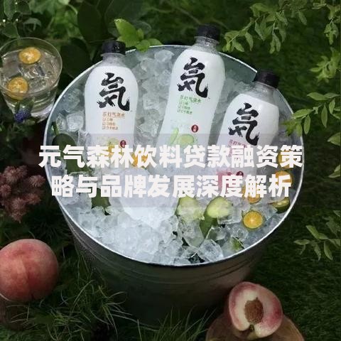 元气森林饮料贷款融资策略与品牌发展深度解析