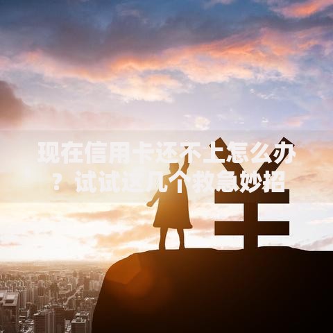 现在信用卡还不上怎么办？试试这几个救急妙招